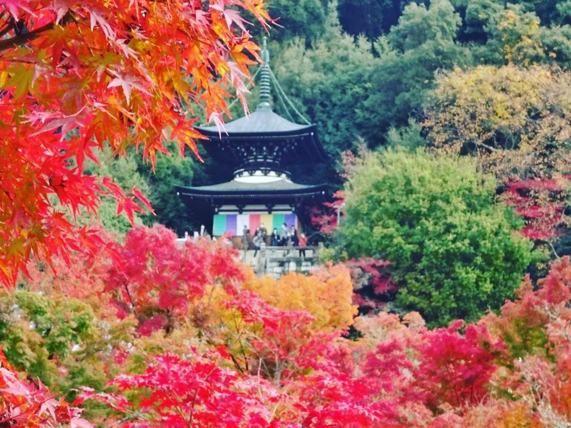 Yamamoto Ryokan Kyoto Buitenkant foto